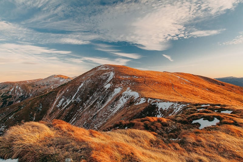 Wilderness Expeditions